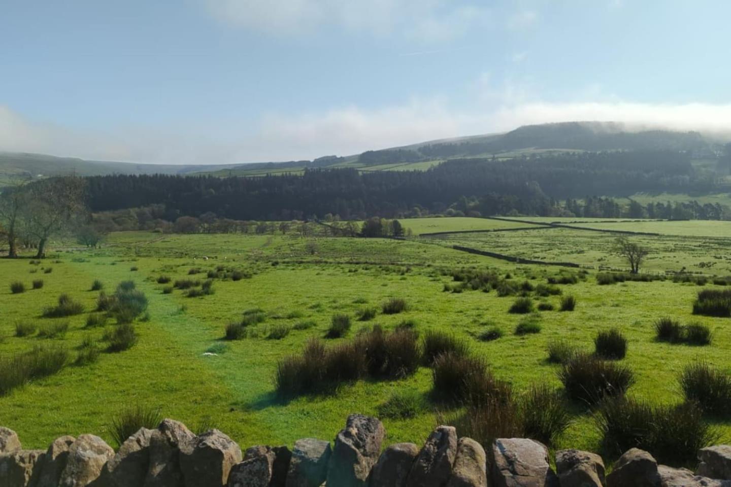 The Alston